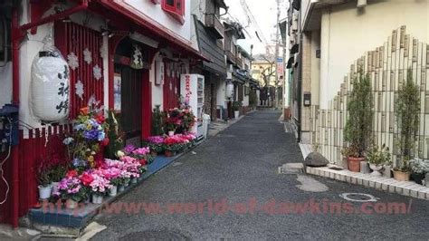 信太山 銀猫|大阪 信太山新地の体験談・口コミ⑦「ぎんねこ」編。